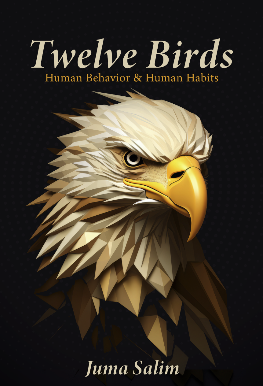 Twelve Birds — book cover by Juma Salim